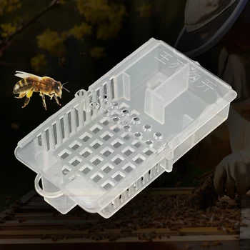 5/10 бр. Инструменти За Пчеларството Клетки За Транспортиране на Пчелите Обзавеждане За Пчеларството Пчелен Къща Кошер Бяла прозрачна Клетка За Пчелния на Матката