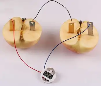обзавеждане за физически експерименти, Оборудване за научни експерименти Плодов провеждане на експеримент Технология плодови батерии Малък