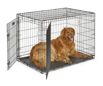 MidWest Homes for Pets с две врати метална кутия за кучета ICrate, 42 инча, идеално за възрастни кучета с Тегло от 71 до 90 килограма