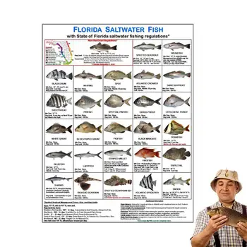 Идентификация карта рибар Цветни снимки Правила за риболов във Флорида Карта на правилата на риболов във Флорида, за любителите на риболова