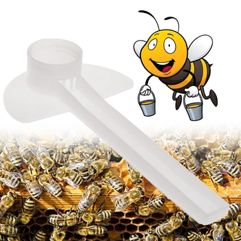 Комплект от 10 инструменти за пчеларството Система пиячи гнездото на пчелите е Лесен за използване