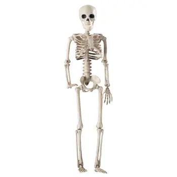 36 см Реалистични човешки кости на Черепа на Скелет на Хелоуин Украса Анатомическая модел